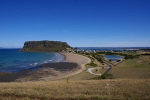 The Nut - Port Stanley