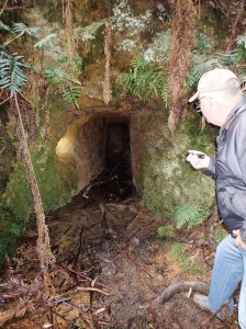 Ferndene State Reserve, Ferndene Tasmania