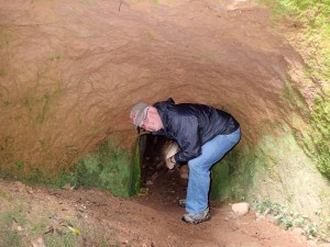 Ferndene State Reserve, Ferndene Tasmania